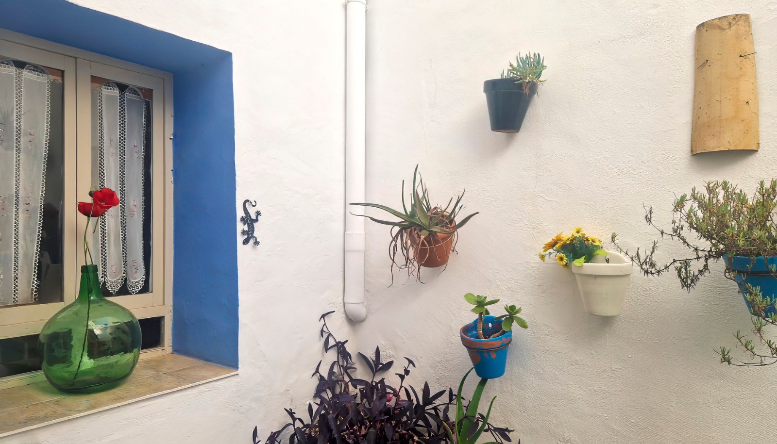 WhatsApp Image 2026 01 05 at 07.26.42 2