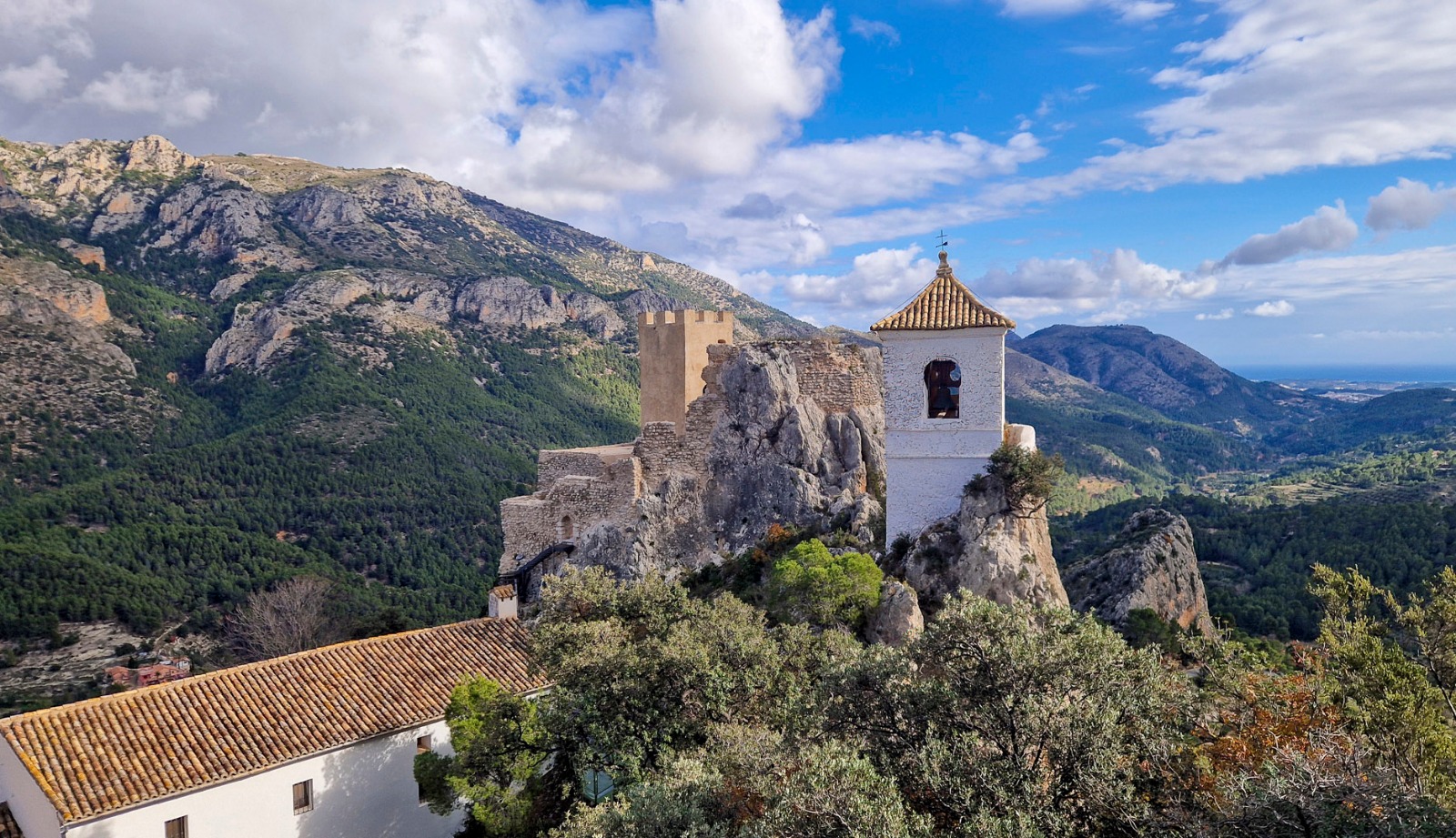 WhatsApp Image 2026 01 05 at 07.51.51